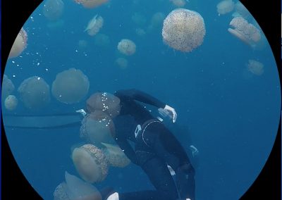 Jellyfish_bubbles_1, 2019